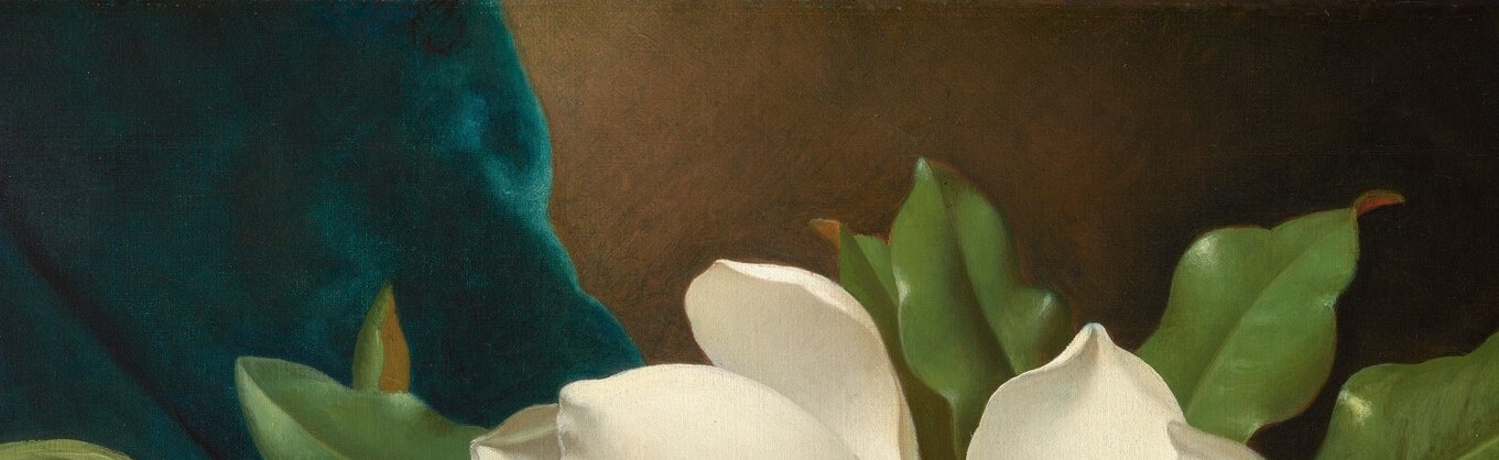 The waxy, reflective surface of a magnolia leaf at its most polished , Heade captures the specular sheen that distinguishes magnolia foliage from matte botanical leaves.