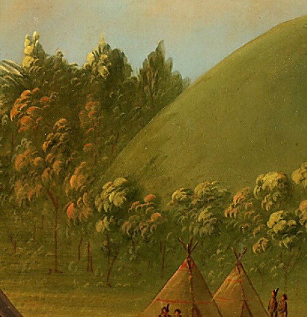 Provides a framing element and suggests the natural environment of the encampment.