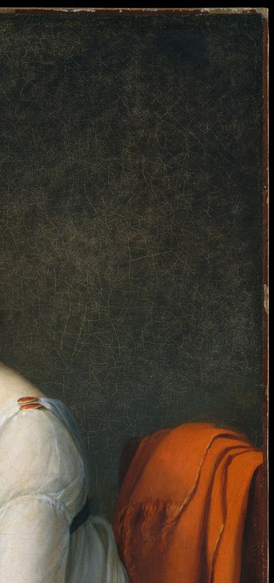 A theatrical Baroque holdover in an otherwise spare Neoclassical portrait , signals wealth and establishes warm contrast that makes the white dress luminous by opposition.