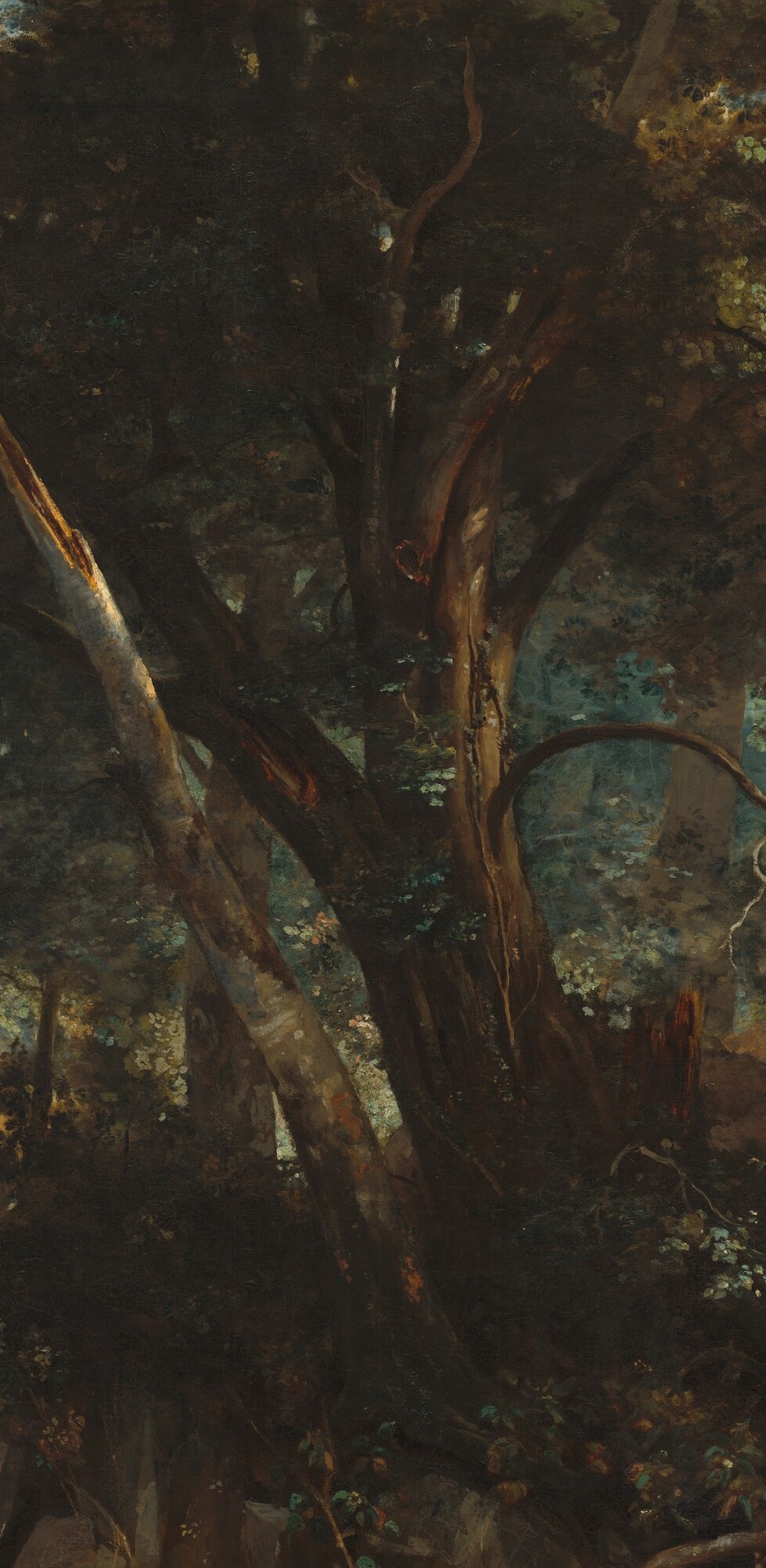 Corot's most forceful compositional move , its lean disrupts the vertical rhythm of the forest and draws the eye diagonally across the canvas.