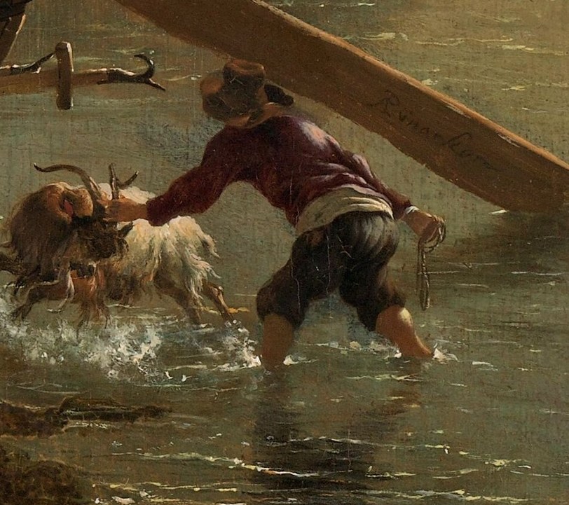 A man pushes his goats into the current.