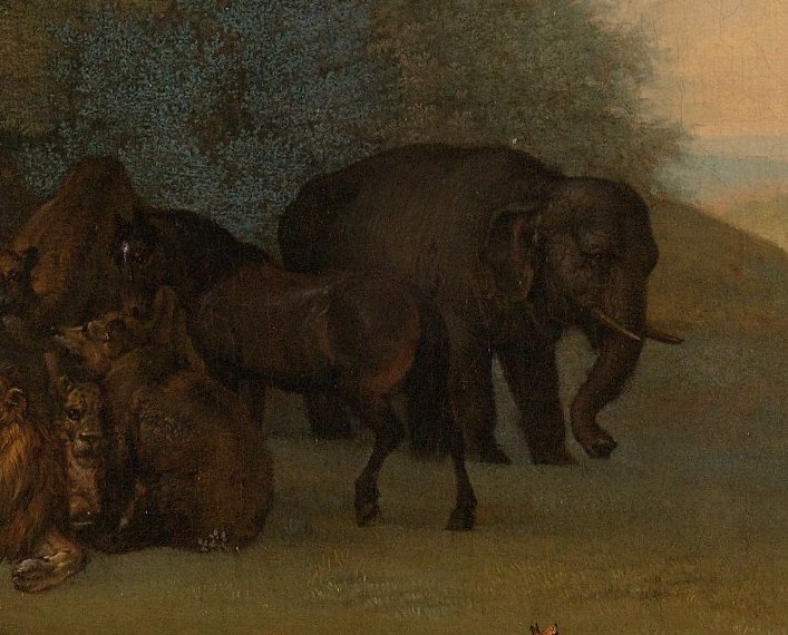 From lions to elephants, even exotic animals listen.
