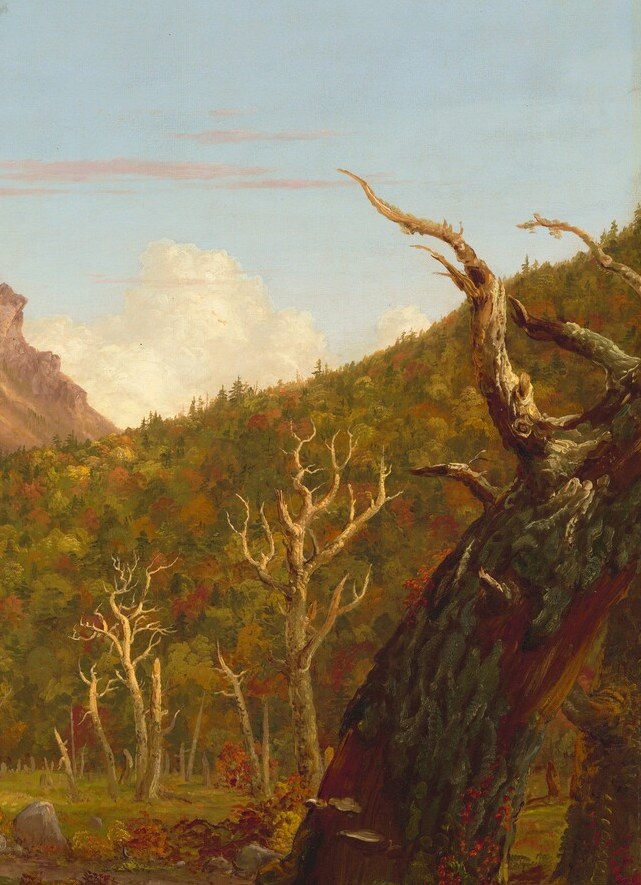 A memento mori of the forest; the skeletal silver wood contrasts with autumn color and marks Cole's signature use of mortality motifs to deepen landscape meaning.