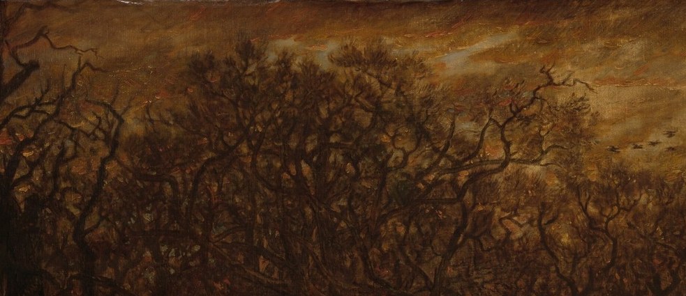 The intricate, skeletal pattern of branches creates a sense of depth and the starkness of winter.