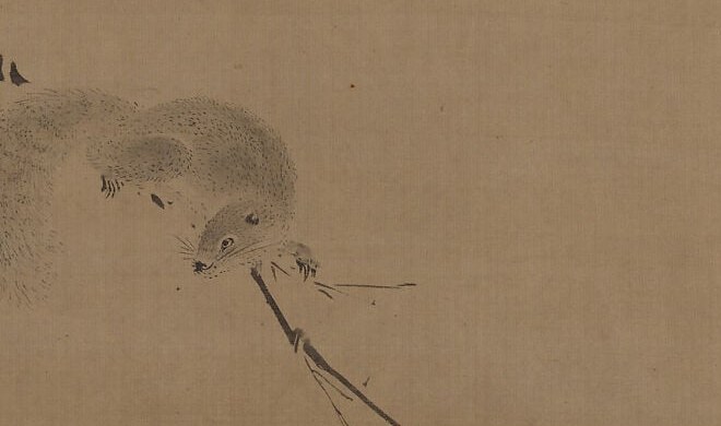 The fur is built from hundreds of tiny, rapid ink strokes.
