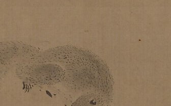 Its tiny black eye transforms a study into an encounter.