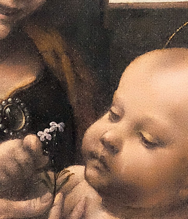 The Christ Child reaches out, curious and engaged.
