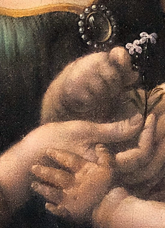 She offers him a delicate purple flower.