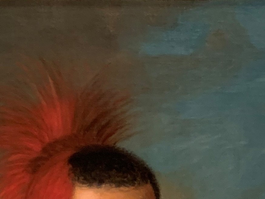 Now look at the red feathers rising above his head.