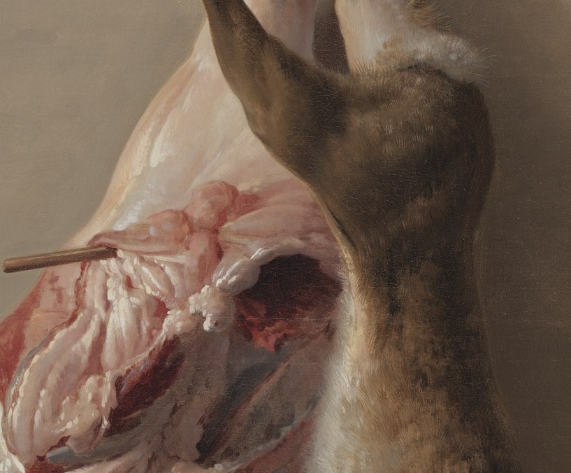 A translucent membrane stretches across the cavity.