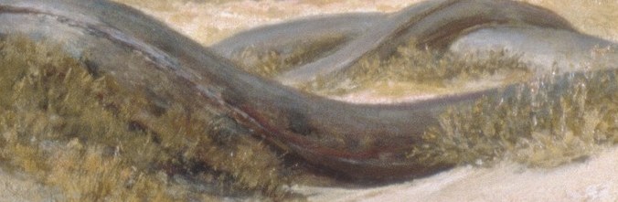 A shadow falls on the serpent's coils.