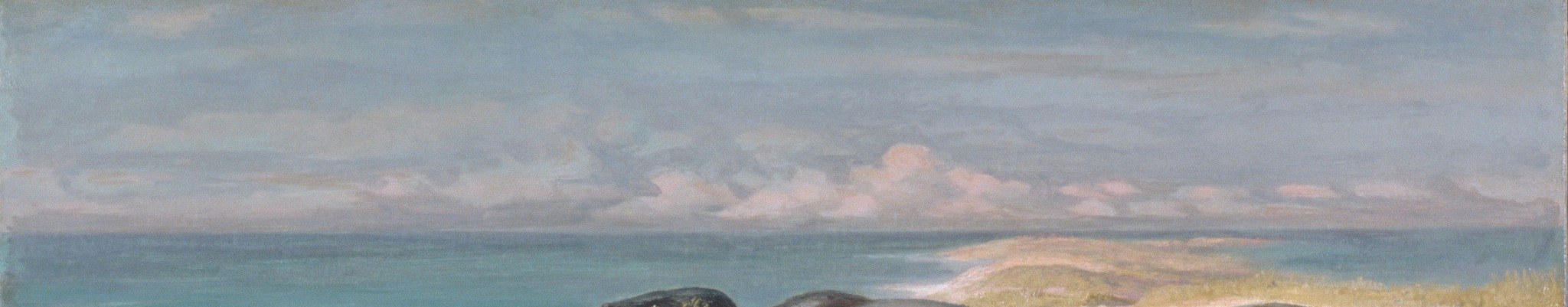 The dramatic sky, with its muted colors and heavy clouds, sets a somber and foreboding mood.