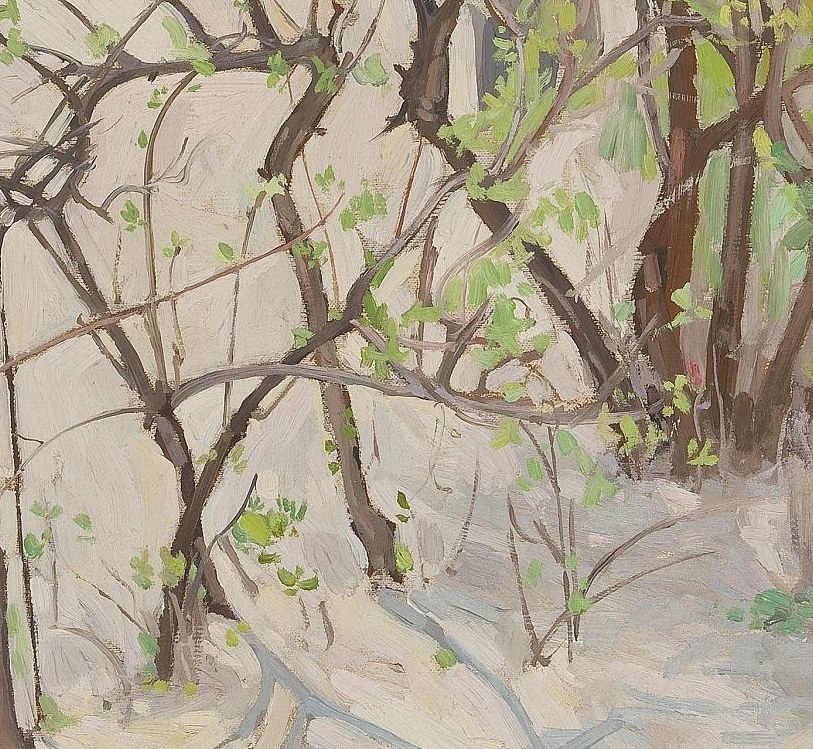 These intricate branches, still mostly devoid of leaves, show the skeletal structure of the trees, emphasizing the transition period of spring.