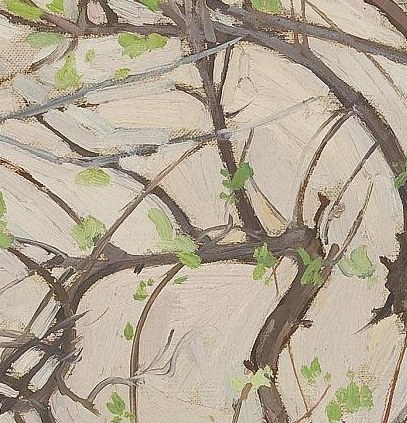 It captures the quiet moment of new growth.