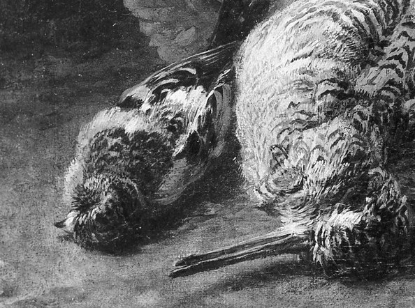 Its ruffled feathers and limp posture convey a sense of finality and the harsh reality of the hunt.