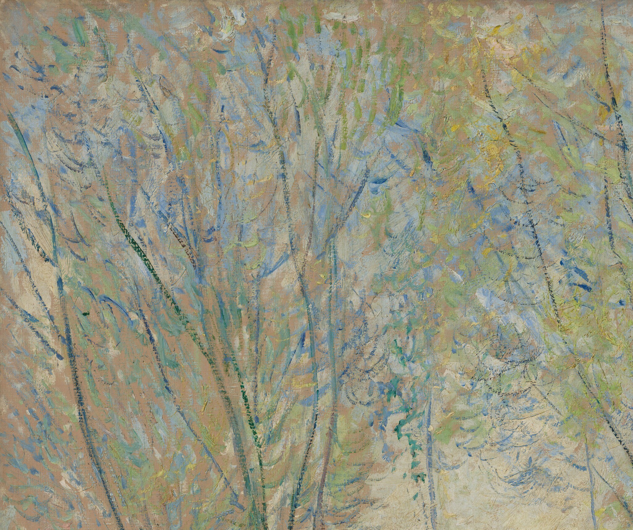 He captures the dappled light filtering through spring leaves.