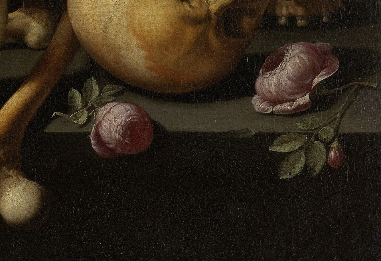 The only warm living color in the composition, already drooping , beauty's brevity given maximum contrast against the surrounding bone-white and shadow.