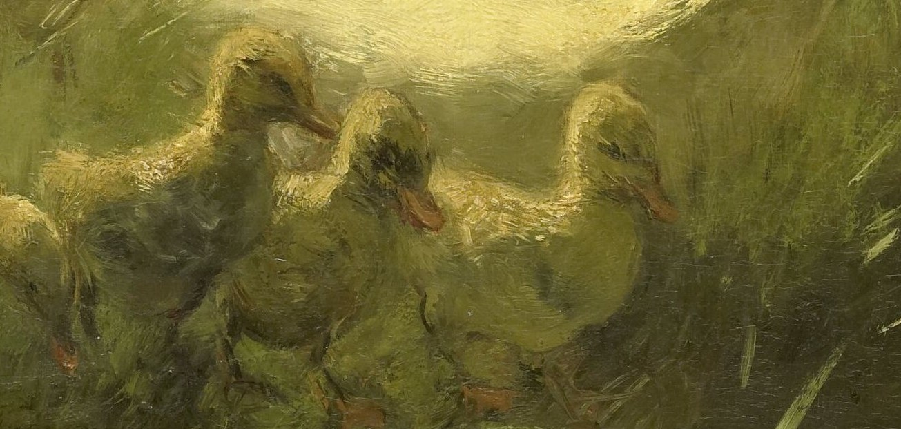 The ducklings follow closely, vulnerable and dependent.