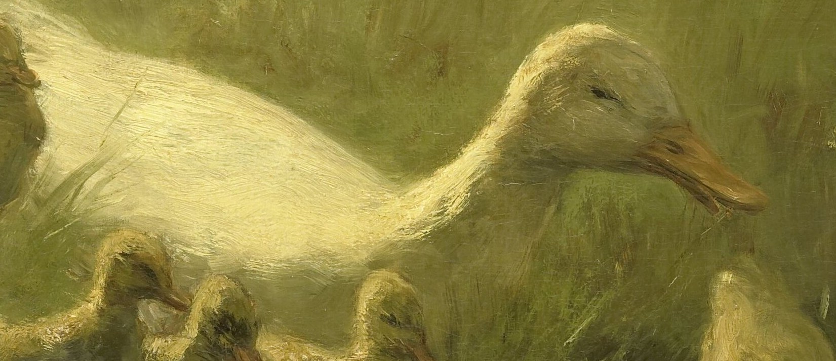 His use of light creates a luminous, warm effect on her feathers.
