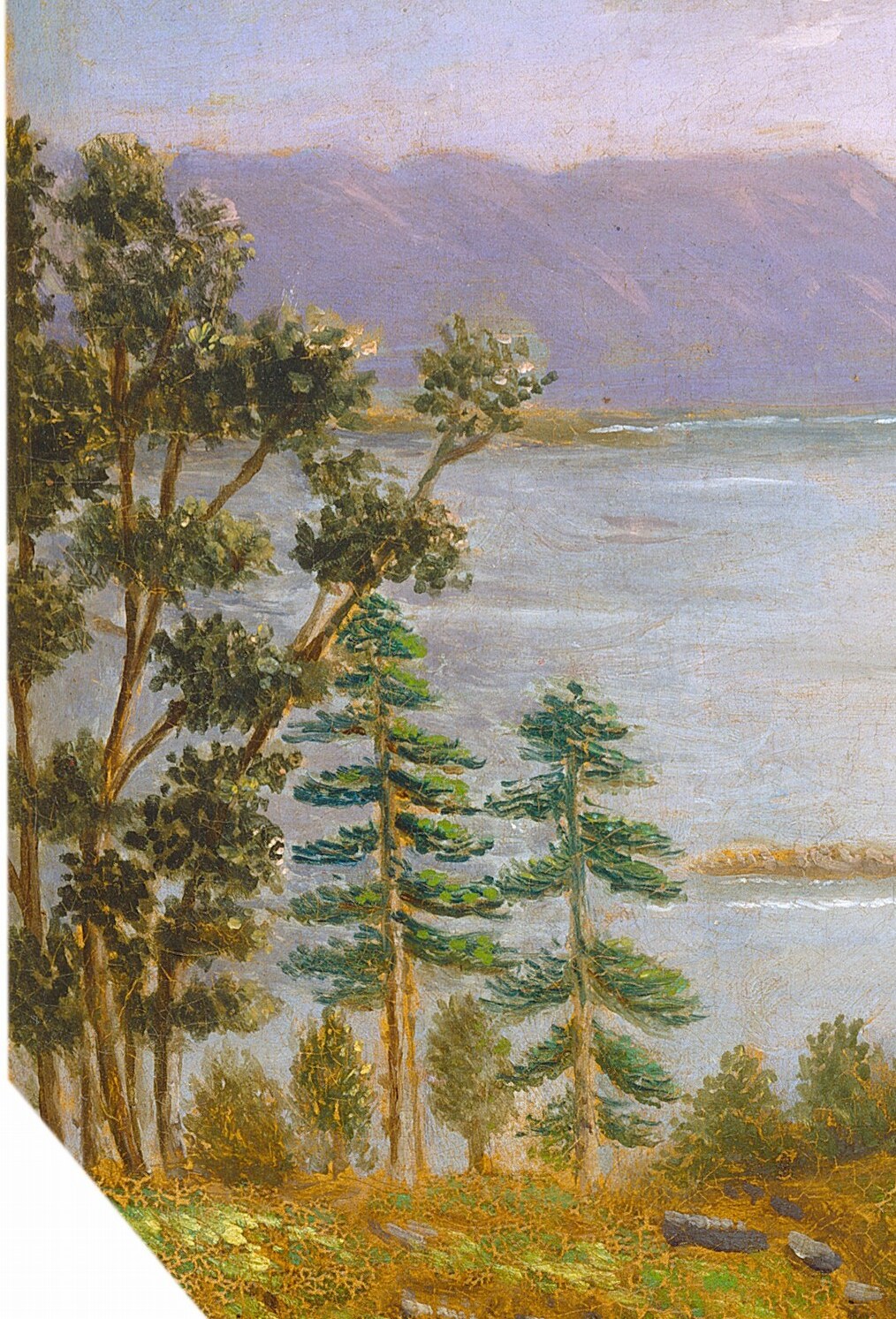 These trees frame the left side of the composition, their dark green providing a strong contrast to the lighter background.