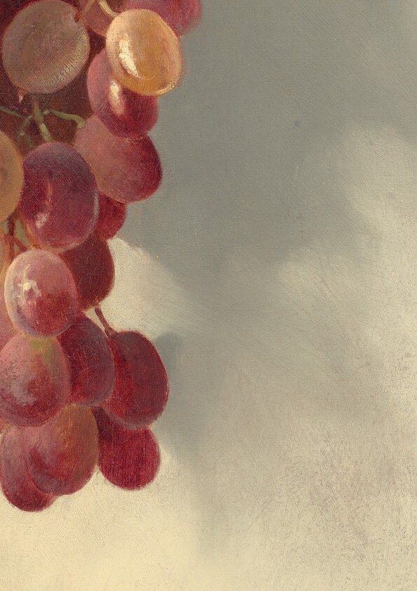 Look at the shadows here, not just the fruit.