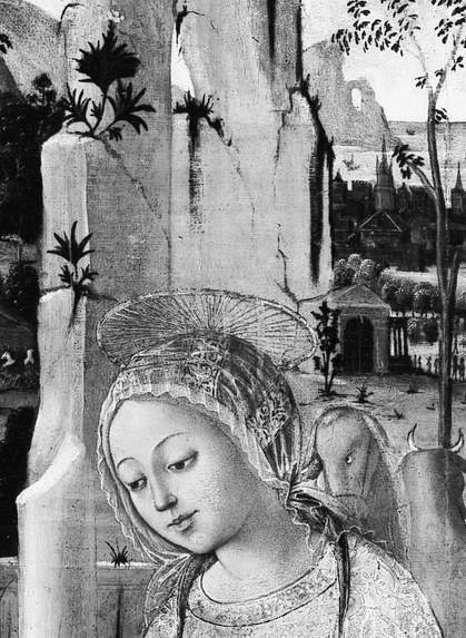 Mary's face holds the whole painting's tenderness.
