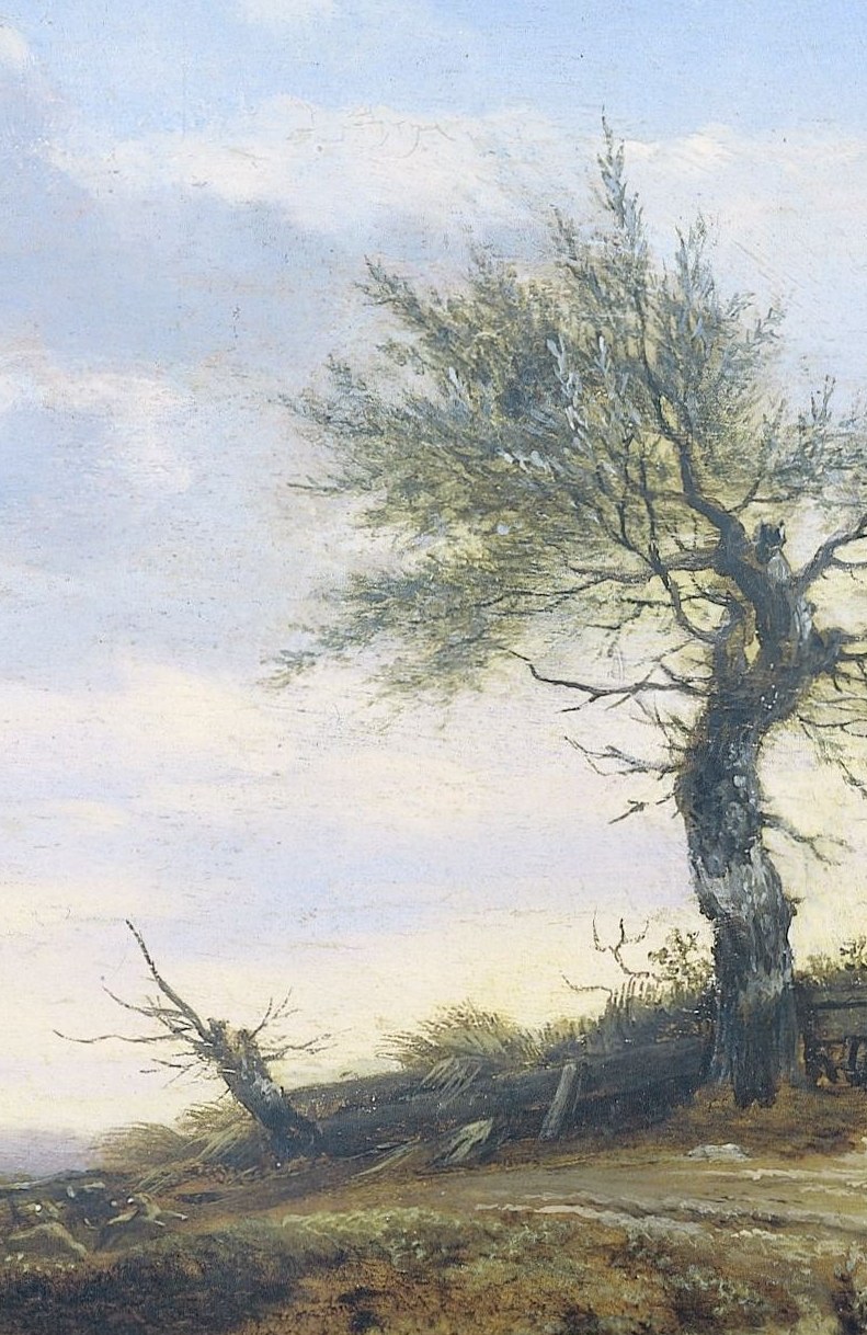 A windswept tree stands against the billowing clouds.