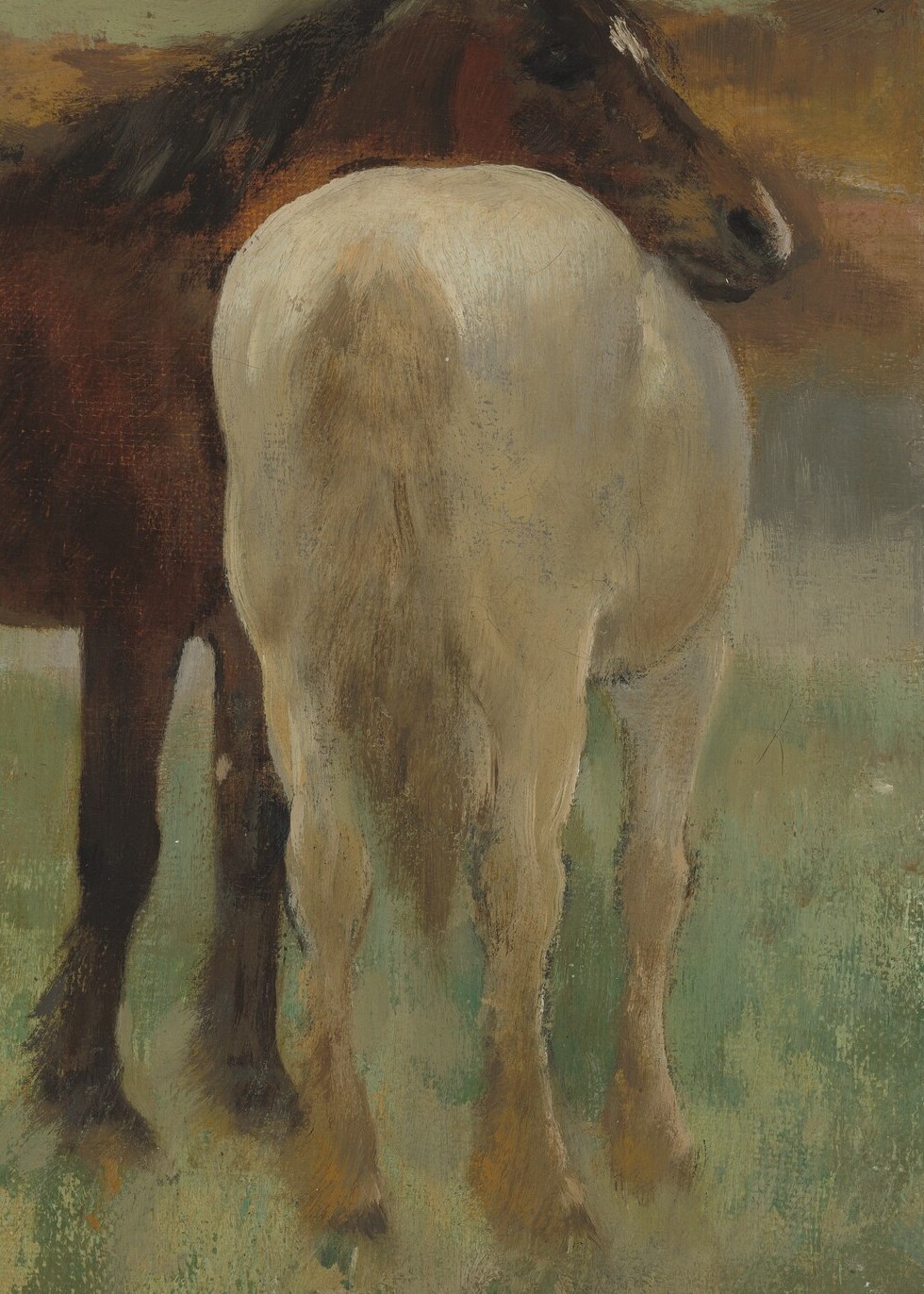 Notice how the light touches the white horse's hindquarters.