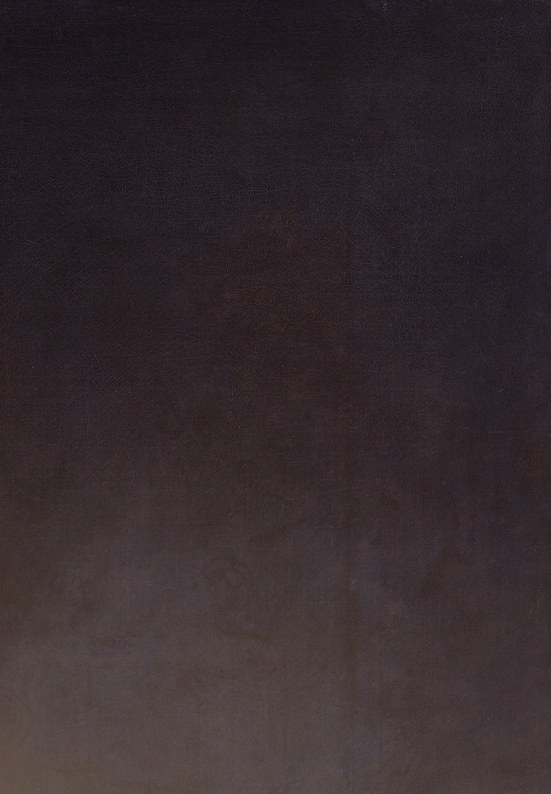 Not empty , Rembrandt's tenebrism gradates the darkness with warm undertones; close inspection may reveal ghost brushwork or a barely suggested architectural element hiding in the margin