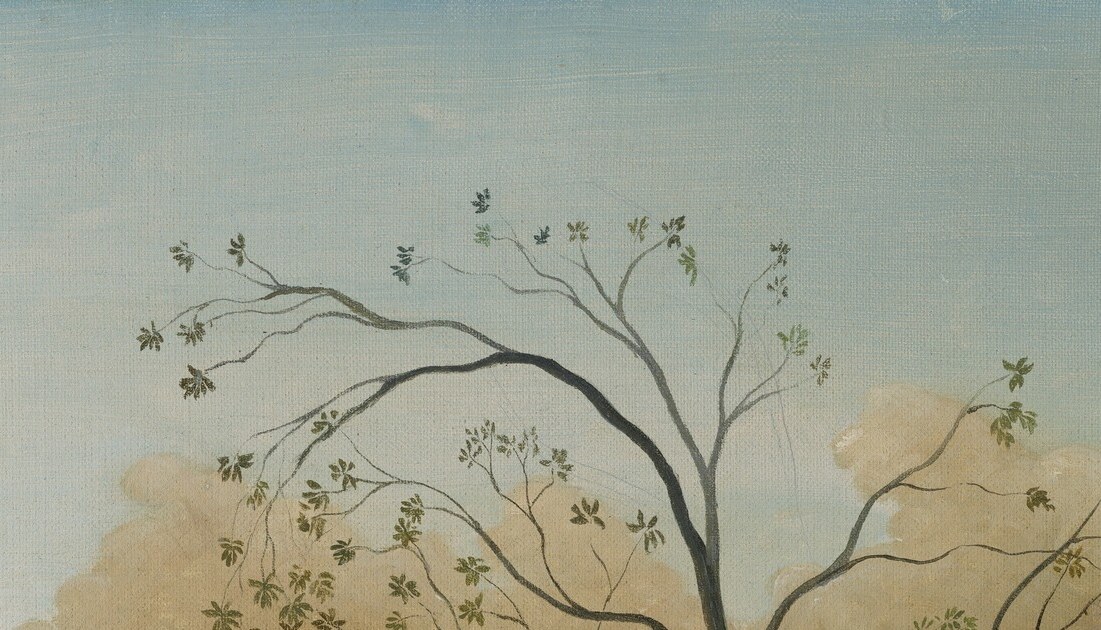 Tiny birds scatter against the light.