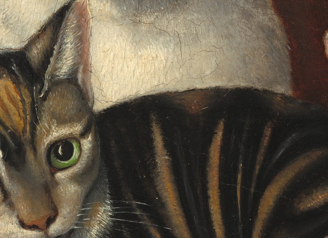 Look closely at the mother cat's soft, thick fur.