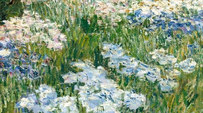 Look how the white blooms catch the direct sun.