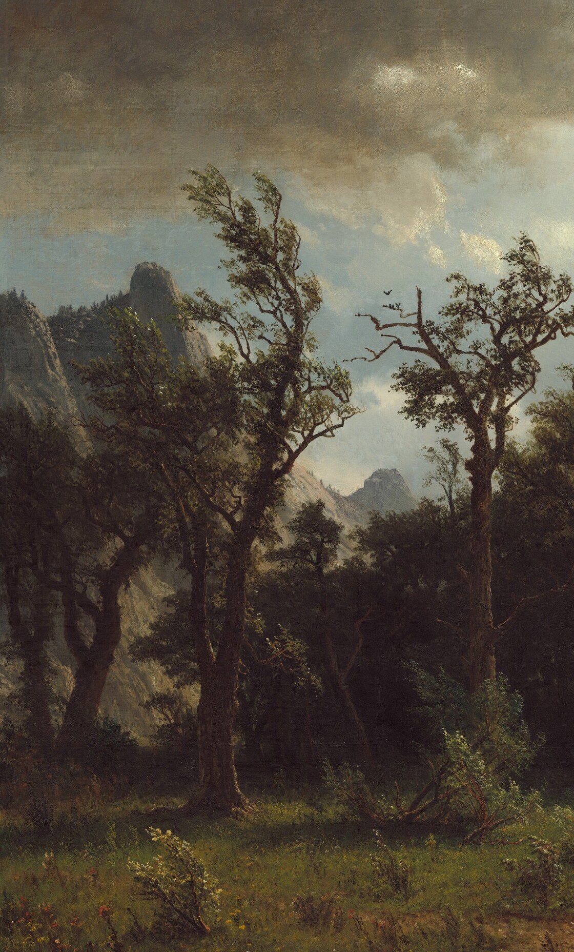 Functions as a dark compositional wing anchoring the left; the trees dissolve into near-silhouette, framing the open sky and lending the scene a theatrical stage-curtain feel