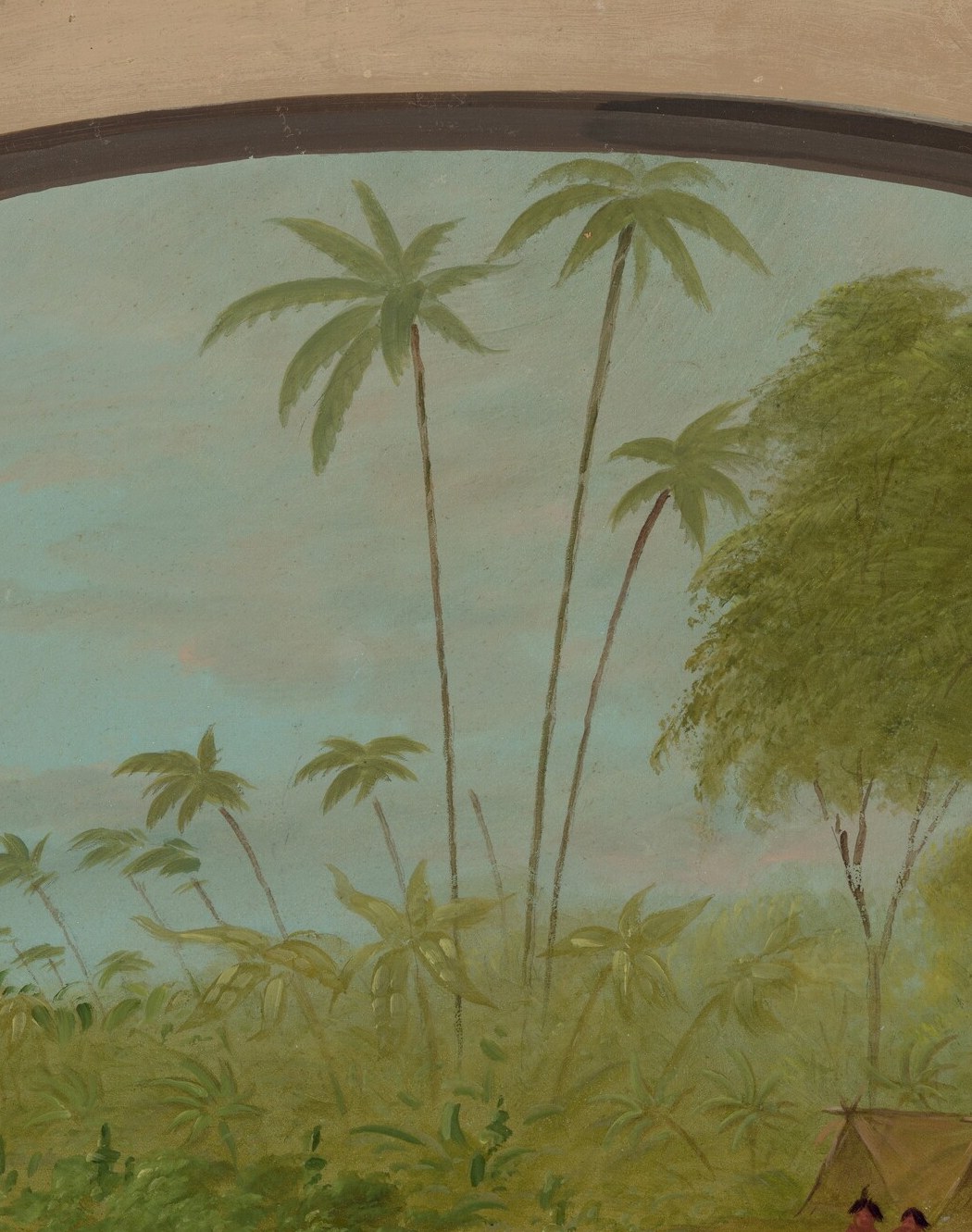The vertical sentinels that dominate the sky and establish a tropical frontier.
