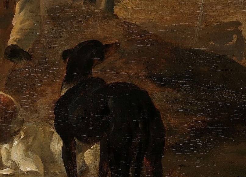 The black dog waits at the edge of the woods.