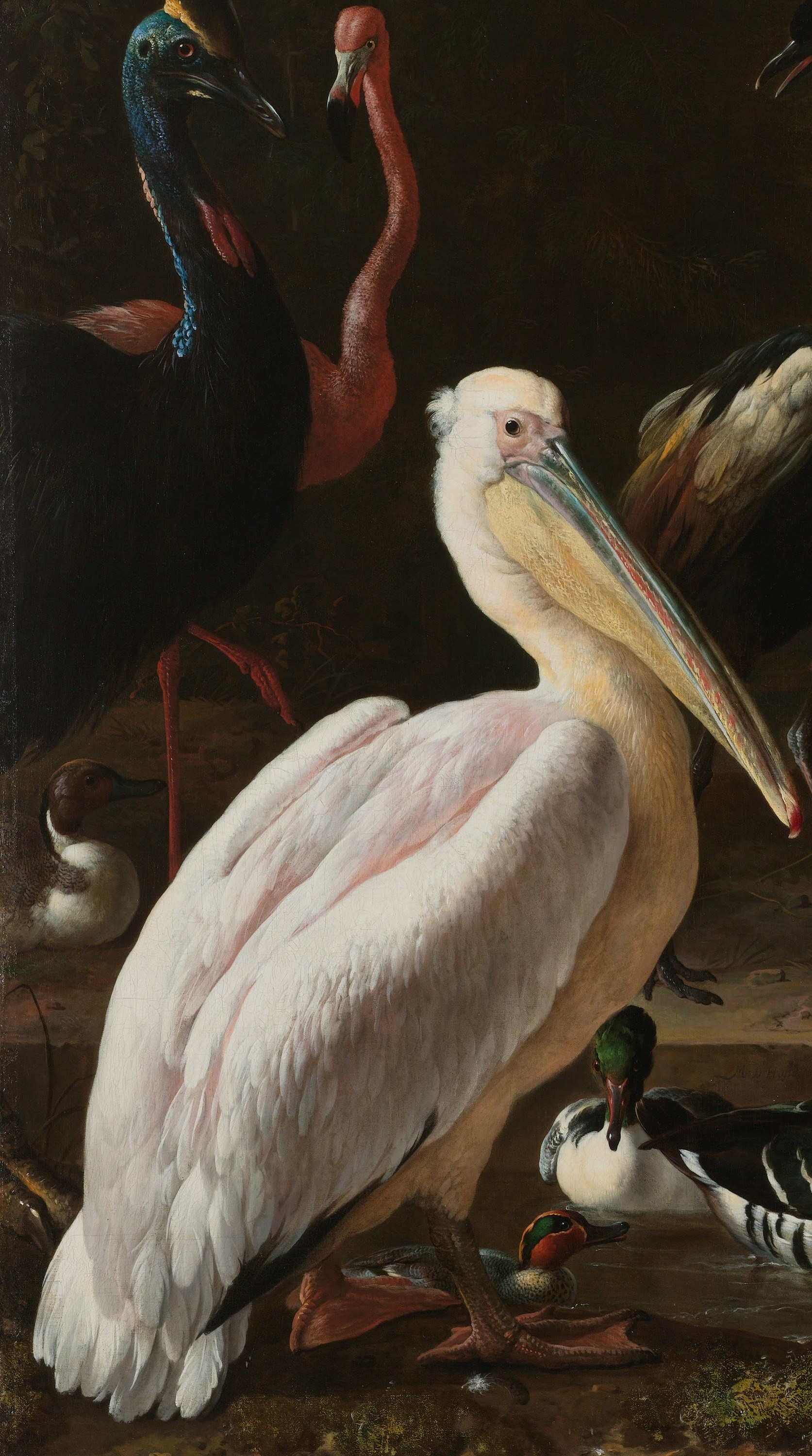 A white pelican anchors the whole composition.