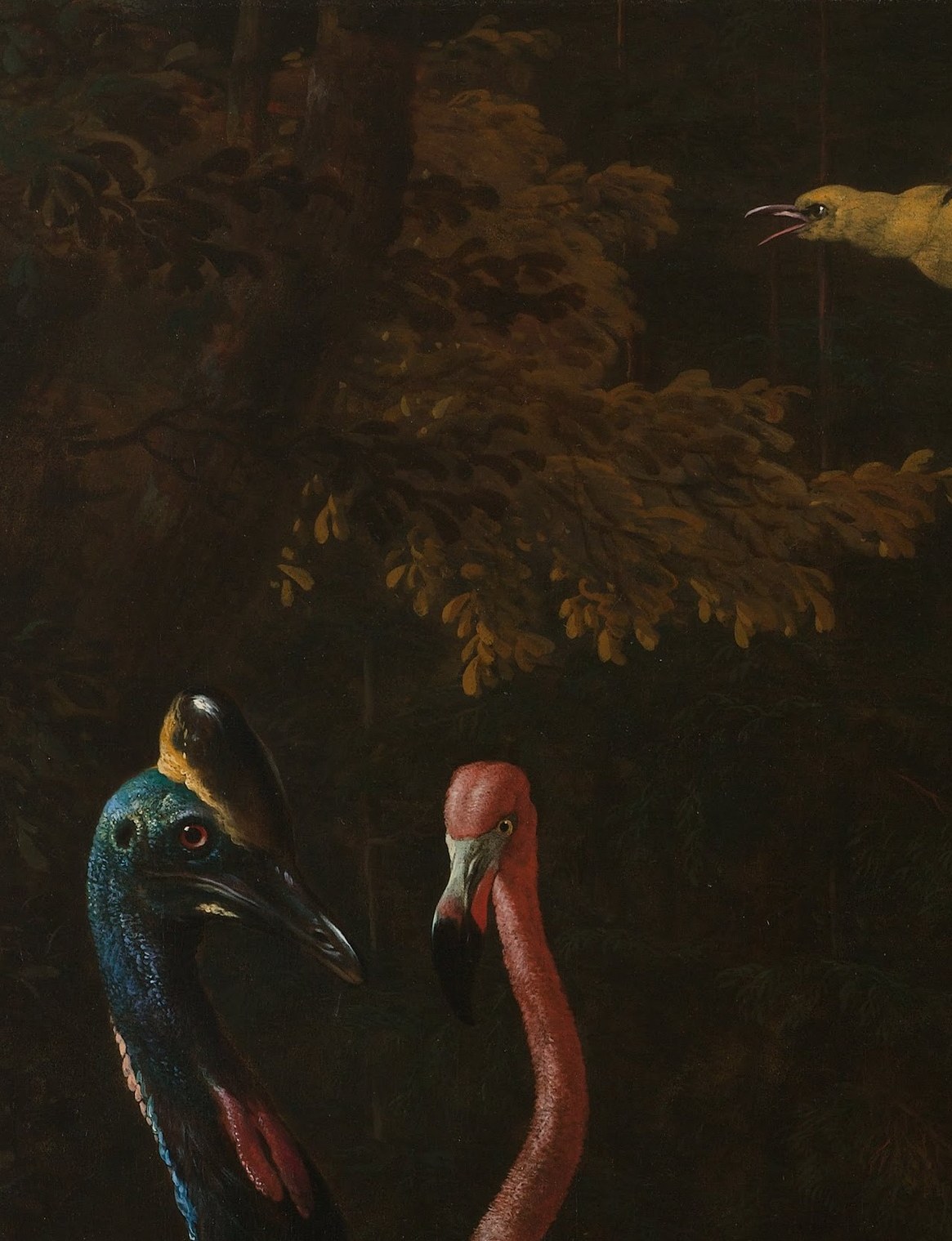 Egyptian geese and scarlet ibises were status symbols.