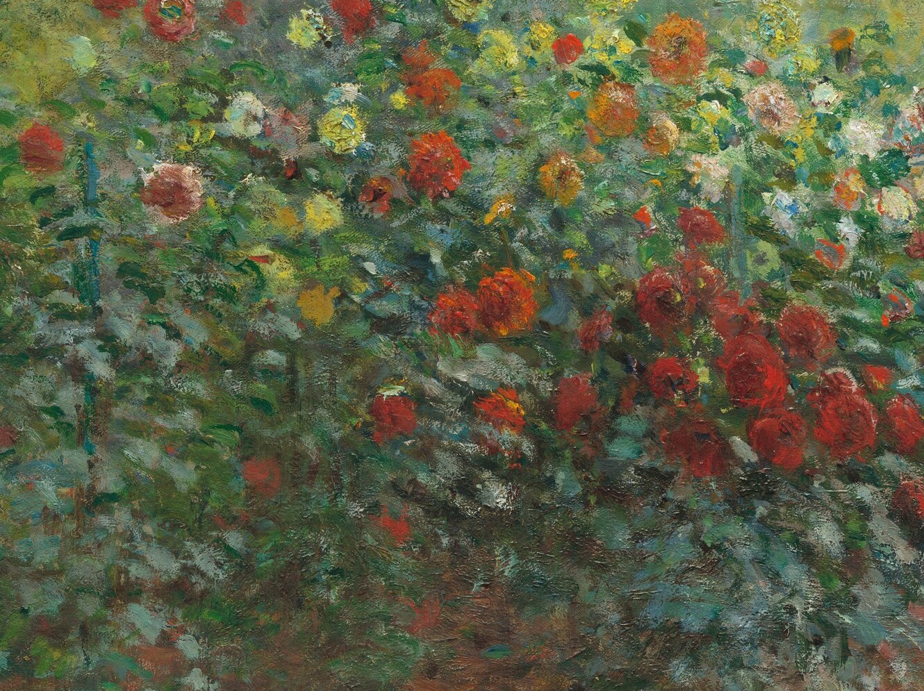 Monet planted these himself, in 1873.