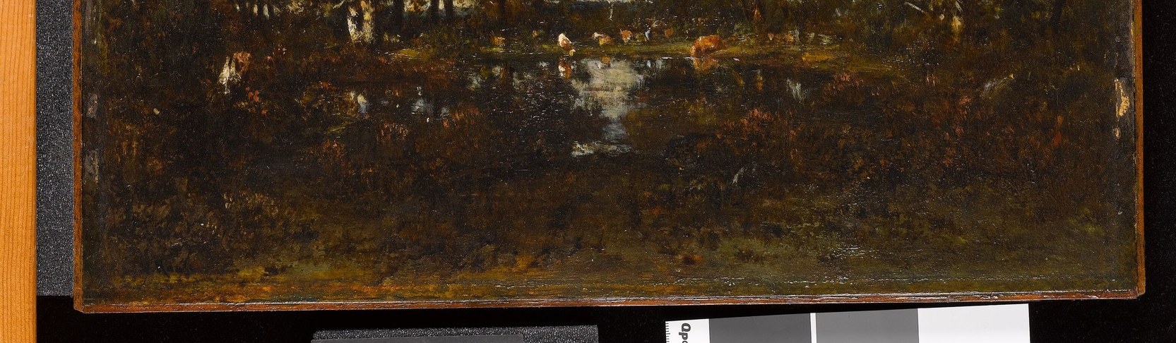 The rich, dark tones and varied brushwork in the foreground create a sense of depth and the dense texture of the forest floor.