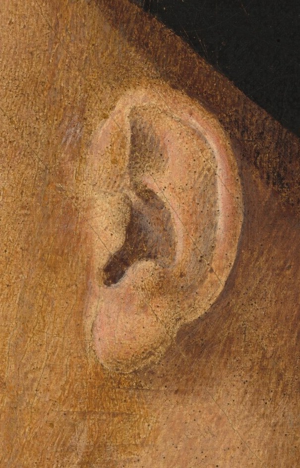 Look at the folds of his ear, mapped like a landscape.