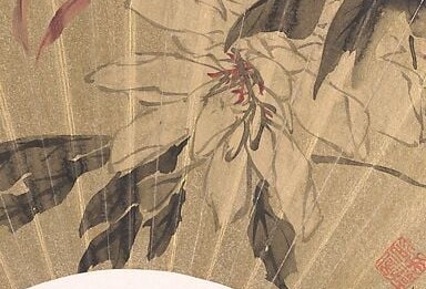Its lush petals signify wealth, prosperity, and honor.