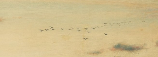 Birds flew, a final flight.