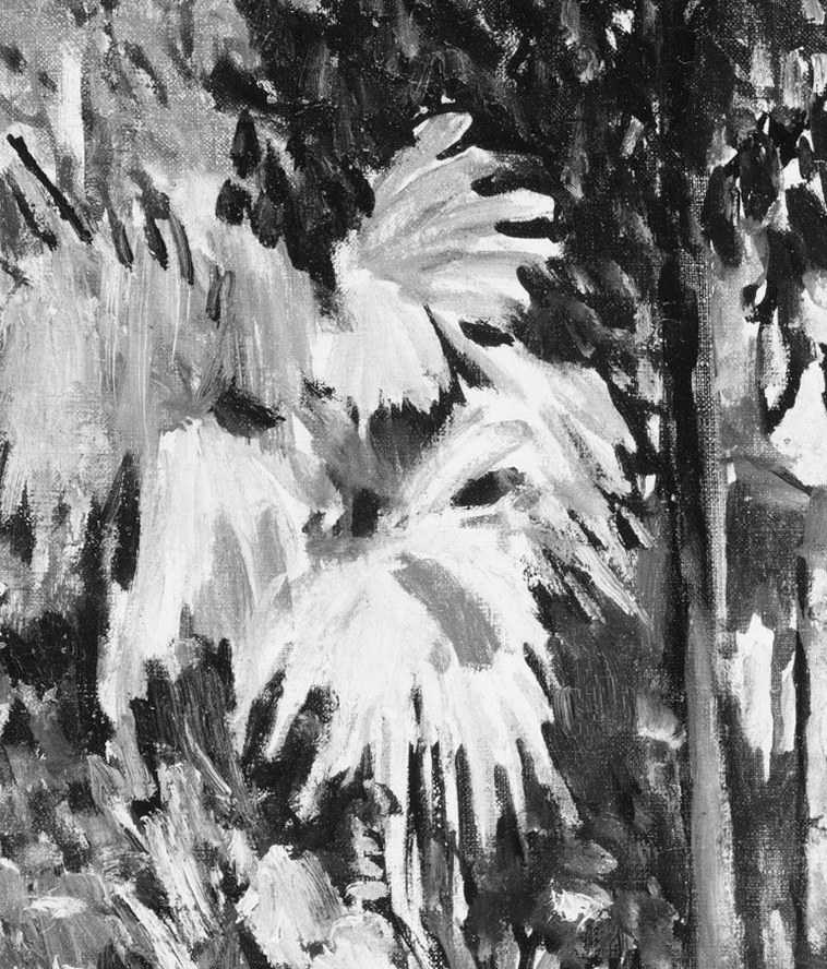 Dense green foliage crowds the left.