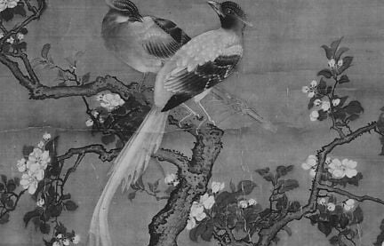 Look closely at the birds perched on the branch.