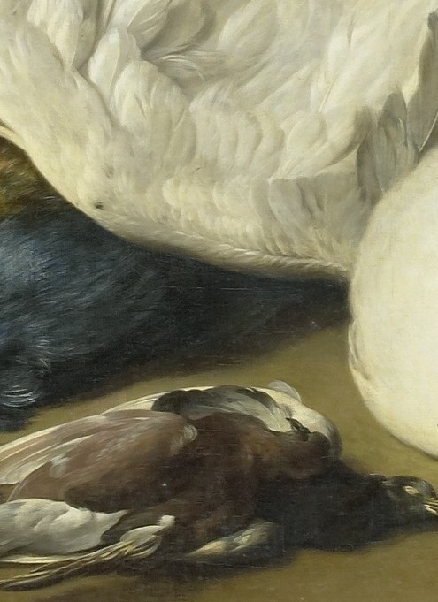 The dead peacock: iridescent blue and green, each feather a separate stroke.