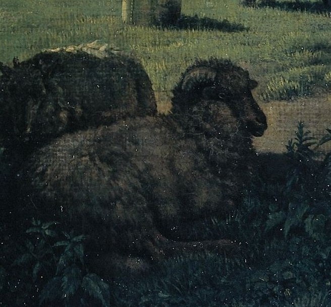 Two sheep rest. A portrait of a nation in one farmyard.