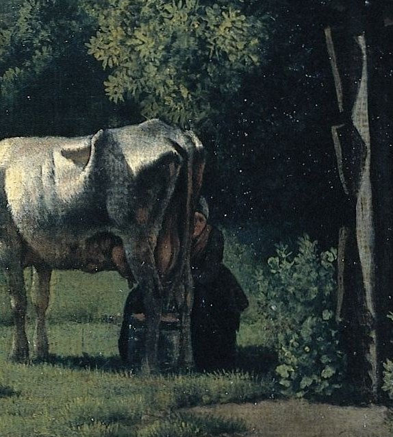 A white cow. Livestock as a national symbol.