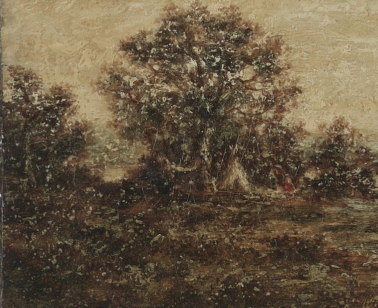 The dark, textured foliage on the left suggests a dense, perhaps impenetrable, natural element.