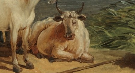 This cow will rest here after you leave.