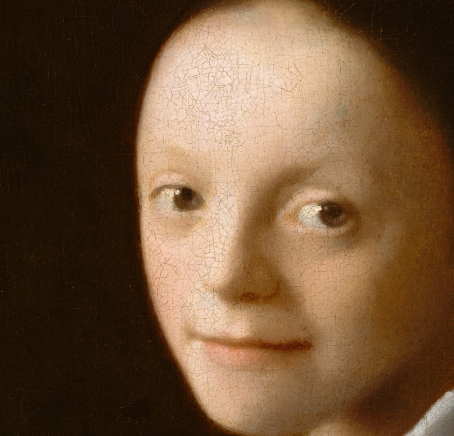 It was painted around the same time as 'Girl with a Pearl Earring'.